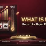 fWhat Is RTP in Slot Games? A Complete Guide for Beginners/oto by studio matador168 (6)